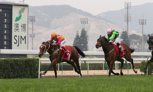 タイパ競馬場